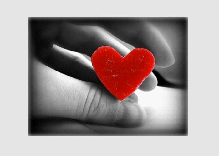 *Video:heartlight center video